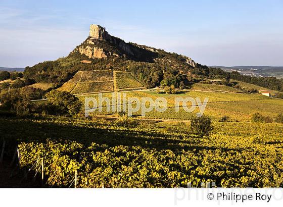 ROCHE DE SOLUTRE ET VIGNOBLE POUILLY FUISSE, ROUTE LAMARTINE, MACONNAIS,  BOURGOGNE. (71F00407.jpg)