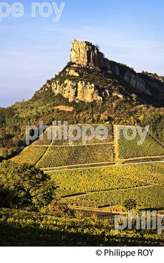 ROCHE DE SOLUTRE ET VIGNOBLE POUILLY FUISSE, ROUTE LAMARTINE, MACONNAIS,  BOURGOGNE. (71F00413.jpg)