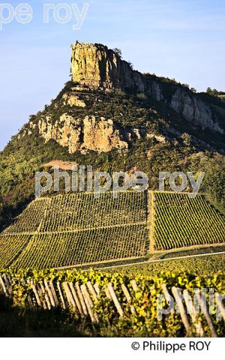 ROCHE DE SOLUTRE ET VIGNOBLE POUILLY FUISSE, ROUTE LAMARTINE, MACONNAIS,  BOURGOGNE. (71F00414.jpg)
