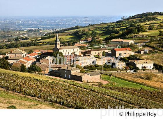 VILLAGE DE PRUZILLY, VIGNOBLE DE JULIENAS, BEAUJOLAIS, ROUTE LAMARTINE, MACONNAIS,  BOURGOGNE. (71F00435.jpg)