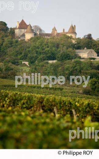 Vignoble de Bourgogne, Rully (71V00119.jpg)