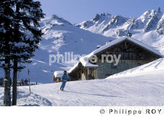 Les Alpes (73F00125.jpg)