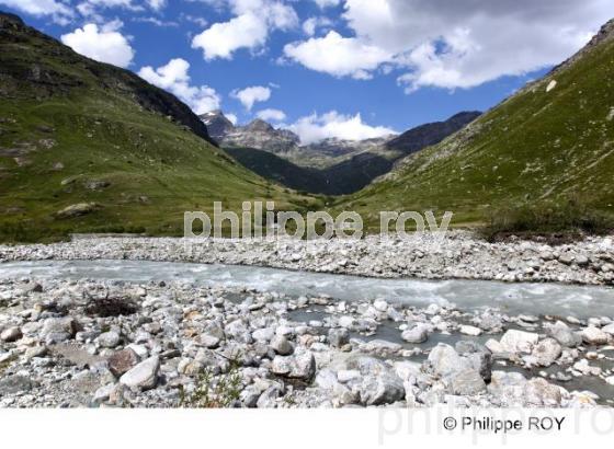Paysage - Alpes (73F00303.jpg)
