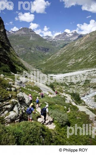 Paysage - Alpes (73F00304.jpg)