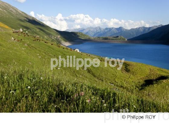 Paysage - Alpes (73F00505.jpg)