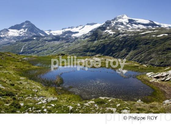 Paysage - Alpes (73F00523.jpg)