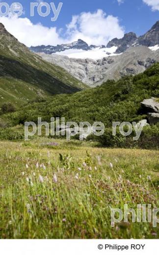Haute-Maurienne, Savoie, Alpes (73F00639.jpg)