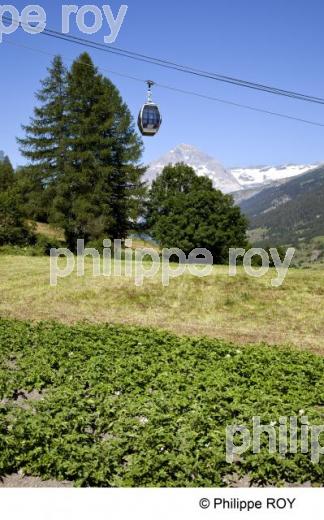 Haute-Maurienne, Savoie, Alpes (73F00816.jpg)