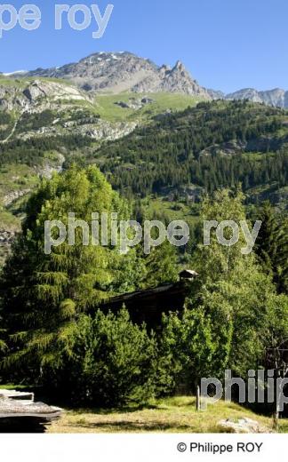 Haute-Maurienne, Savoie, Alpes (73F00817.jpg)