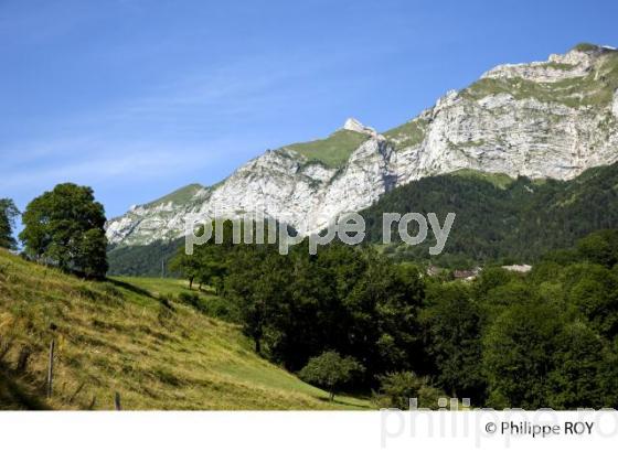 MASSIF DES BAUGES, ALPES, SAVOIE (73F00928.jpg)