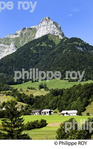 PAYSAGE AGRICOLE DE MONTAGNE, MASSIF DES BAUGES, SAVOIE. (73F01025.jpg)