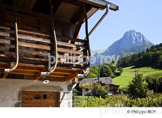 VILLAGE, MASSIF DES BAUGES, SAVOIE  (73F01104.jpg)