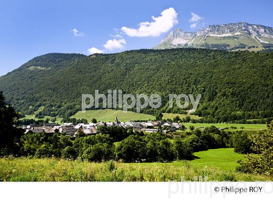 PAYSAGE AGRICOLE DE MONTAGNE, MASSIF DES BAUGES, SAVOIE. (73F01110.jpg)