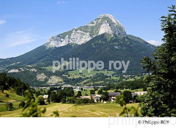 PAYSAGE AGRICOLE DE MONTAGNE, MASSIF DES BAUGES, SAVOIE. (73F01111.jpg)