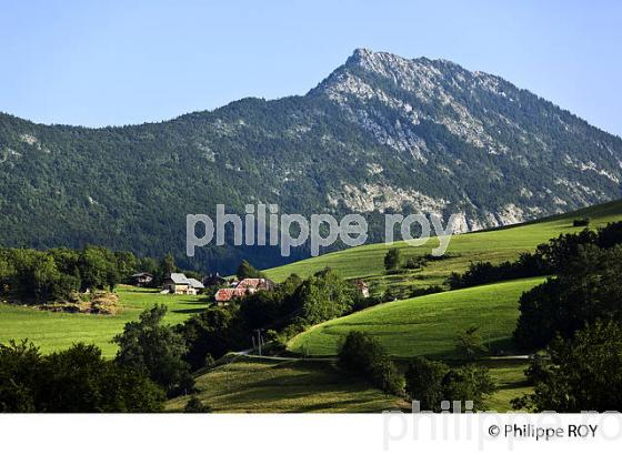 PAYSAGE AGRICOLE DE MONTAGNE, MASSIF DES BAUGES, SAVOIE. (73F01114.jpg)