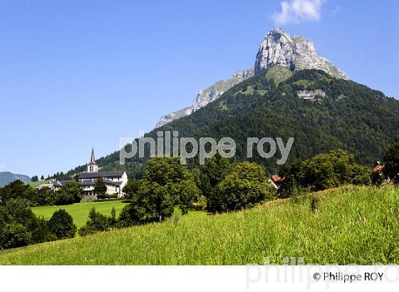 PAYSAGE AGRICOLE DE MONTAGNE, MASSIF DES BAUGES, SAVOIE. (73F01117.jpg)