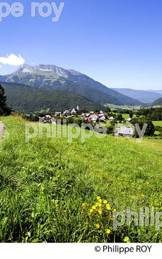 PAYSAGE AGRICOLE DE MONTAGNE, MASSIF DES BAUGES, SAVOIE. (73F01120.jpg)