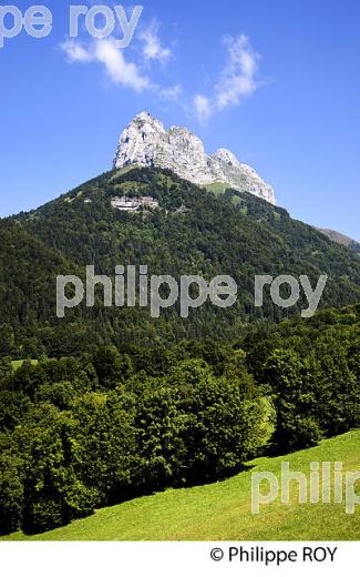 PAYSAGE AGRICOLE DE MONTAGNE, MASSIF DES BAUGES, SAVOIE. (73F01121.jpg)