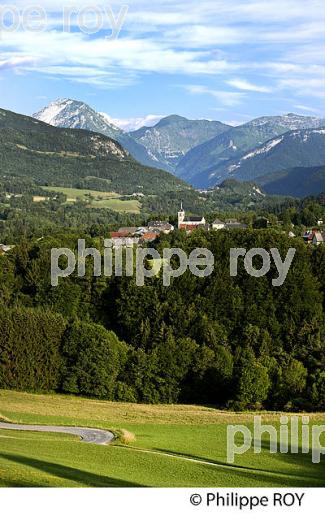 PAYSAGE AGRICOLE DE MONTAGNE, MASSIF DES BAUGES, SAVOIE. (73F01127.jpg)