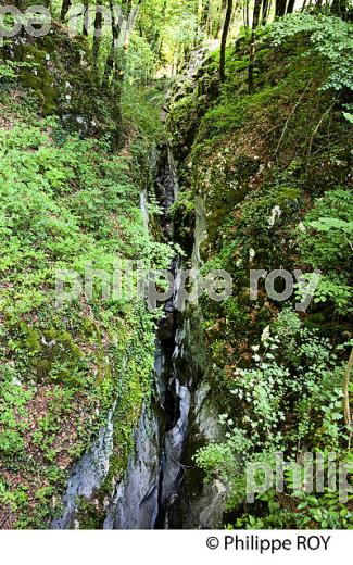 GORGES DE BELLECOMBE, PARC DES BAUGES, SAVOIE, FRANCE (73F01201.jpg)