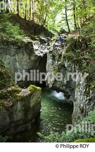 GORGES DE BELLECOMBE, PARC DES BAUGES, SAVOIE, FRANCE (73F01203.jpg)