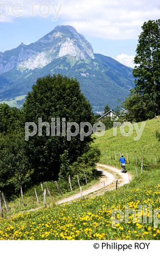 PAYSAGE AGRICOLE DE MONTAGNE, MASSIF DES BAUGES, SAVOIE. (73F01311.jpg)