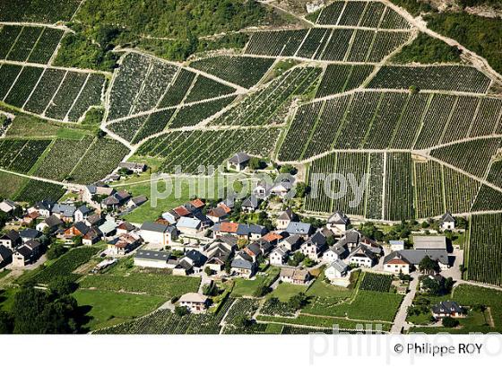 VIGNOBLE DE SAVOIE, CRU CHIGNIN (73F01403.jpg)
