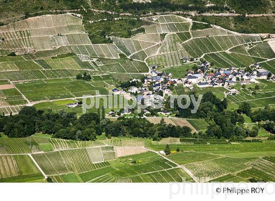 VIGNOBLE DE SAVOIE, CRU CHIGNIN (73F01404.jpg)