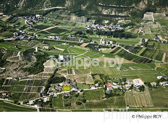 VIGNOBLE DE SAVOIE, CRU CHIGNIN (73F01405.jpg)