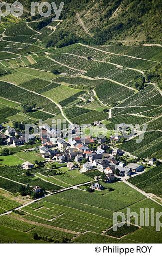 VIGNOBLE DE SAVOIE, CRU CHIGNIN, COMBE DE SAVOIE (73F01409.jpg)
