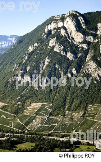 VIGNOBLE DE SAVOIE, CRU CHIGNIN, COMBE DE SAVOIE (73F01410.jpg)