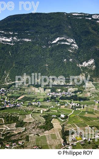 VIGNOBLE DE SAVOIE, CRU CHIGNIN, COMBE DE SAVOIE (73F01413.jpg)