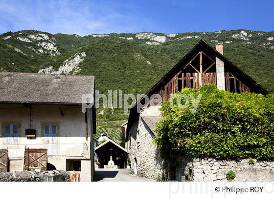 VIGNOBLE DE SAVOIE, CRU CHIGNIN, COMBE DE SAVOIE (73F01515.jpg)