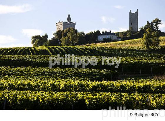 VIGNOBLE DE SAVOIE, CRU CHIGNIN, COMBE DE SAVOIE (73F01520.jpg)