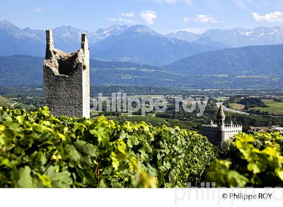 VIGNOBLE DE SAVOIE, CRU CHIGNIN, COMBE DE SAVOIE (73F01522.jpg)