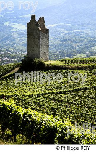 VIGNOBLE DE SAVOIE, CRU CHIGNIN, COMBE DE SAVOIE (73F01526.jpg)