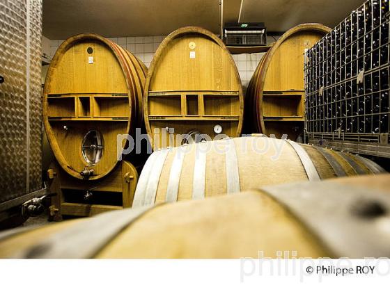 DOMAINE MICHEL QUENARD, VIN DE SAVOIE, CRU CHIGNIN BERGERON (73F01537.jpg)