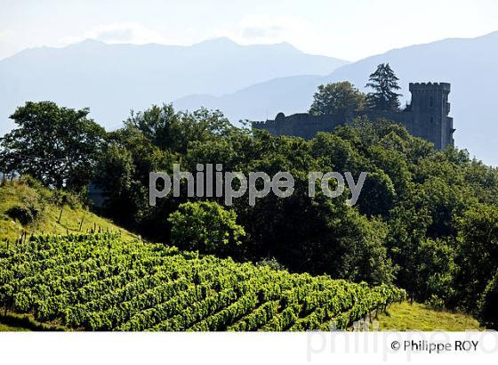 VIGNOBLE DE SAVOIE, CRU SAINT JEAN LA PORTE, COMBE DE SAVOIE (73F01609.jpg)