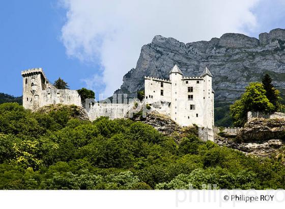 CHATEAU FORT MEDIEVAL DE MIOLANS, SAVOIE, FRANCE (73F01610.jpg)