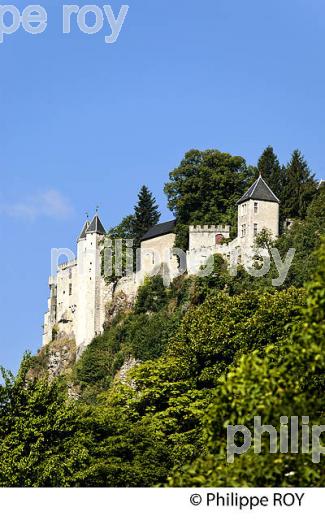 CHATEAU FORT MEDIEVAL DE MIOLANS, SAVOIE, FRANCE (73F01613.jpg)