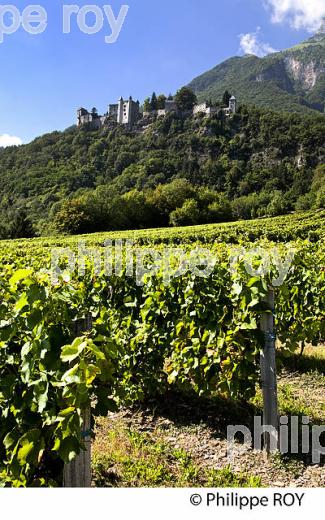 VIGNOBLE DE SAVOIE, CRU SAINT JEAN LA PORTE, COMBE DE SAVOIE (73F01615.jpg)