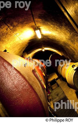 DOMAINE DE L' IDYLLE, VINS DE SAVOIE, CRU DE CRUET (73F01707.jpg)