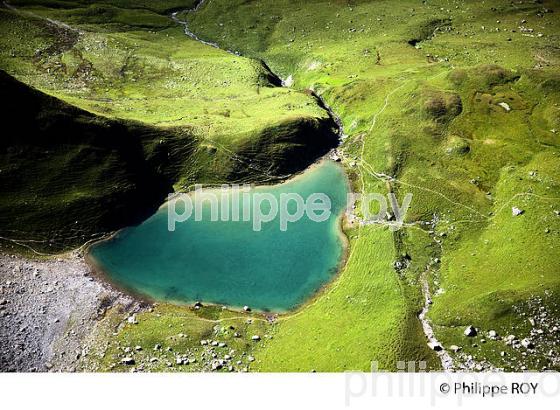 LAC D'AMOUR, BEAUFORTAIN, SAVOIE, FRANCE (73F01722.jpg)