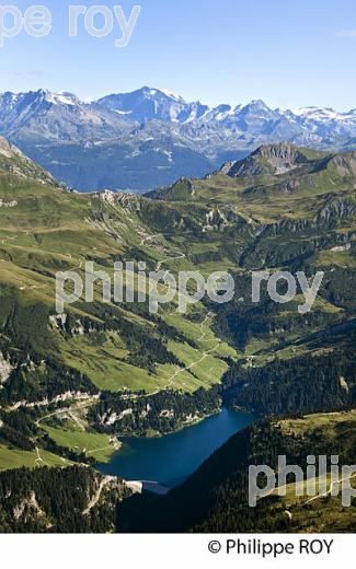 LAC DE BARRAGE DE ROSELEND ET MONT BLANC, SAVOIE, FRANCE (73F01730.jpg)