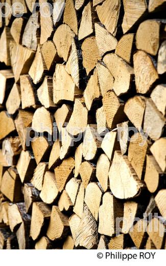 STOCKAGE DE BOIS DE CHAUFFAGE, SAVOIE, FRANCE (73F01817.jpg)