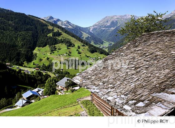 PAYSAGE,  ALPAGE  DU BEAUFORTIN ET VILLAGE DE BOUDIN , SAVOIE, FRANCE (73F01913.jpg)