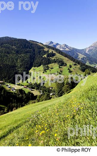 PAYSAGE,  ALPAGE  DU BEAUFORTIN ET VILLAGE DE BOUDIN , SAVOIE, FRANCE (73F01924.jpg)