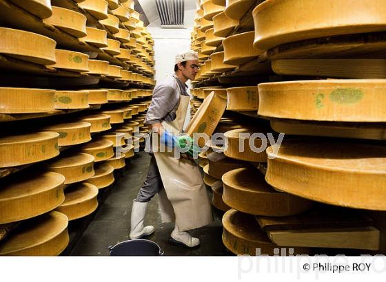 FROMAGE DE BEAUFOIRT, COOPERATIVE LAITIERE DE BEAUFORT, BEAUFORTIN, SAVOIE, FRANCE (73F02014.jpg)