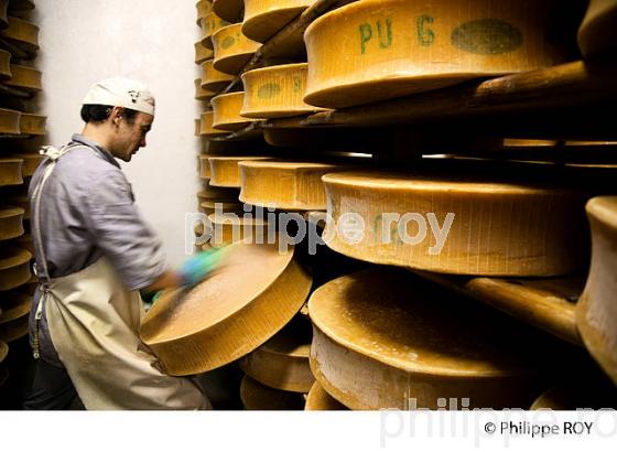 FROMAGE DE BEAUFOIRT, COOPERATIVE LAITIERE DE BEAUFORT, BEAUFORTIN, SAVOIE, FRANCE (73F02015.jpg)