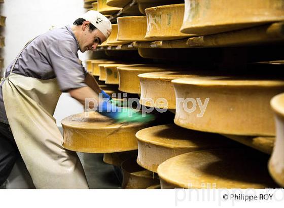FROMAGE DE BEAUFOIRT, COOPERATIVE LAITIERE DE BEAUFORT, BEAUFORTIN, SAVOIE, FRANCE (73F02016.jpg)